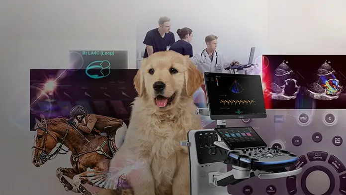 Pet Medical